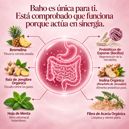 Enzimas Digestivas