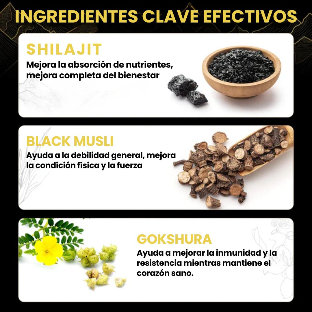 Shilajit Energía, Vitalidad y Enfoque en Deliciosas Gomitas Diarias