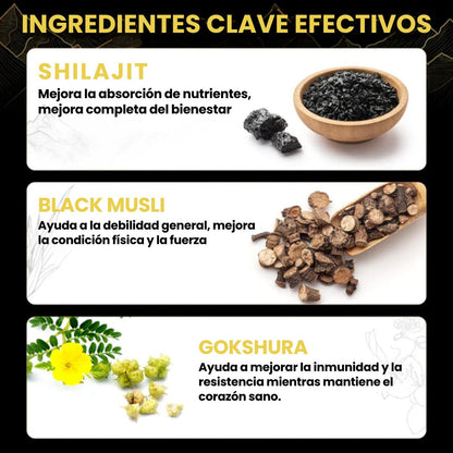 Shilajit Energía, Vitalidad y Enfoque en Deliciosas Gomitas Diarias