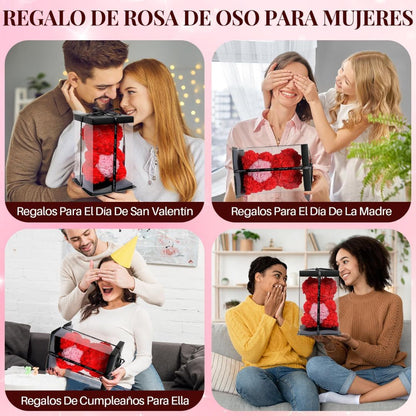Oso de Rosas Eternas con caja