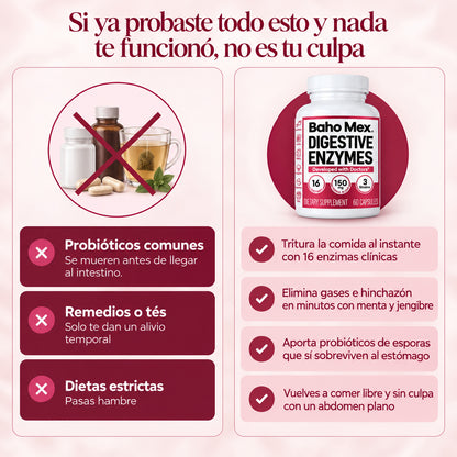 Enzimas Digestivas