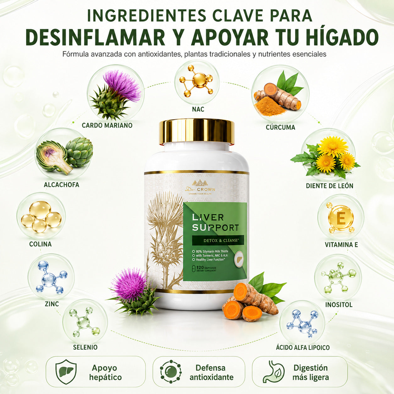 Barriga menos inflamada y cuerpo más ligero desde adentro