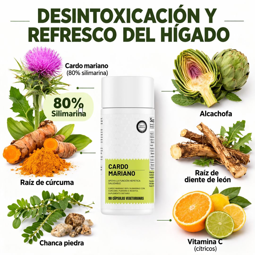 Detox hepático Desinflama tu cuerpo y recupera tu energía en 14 días x90 Cap