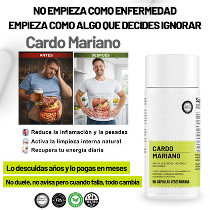 Detox hepático Desinflama tu cuerpo y recupera tu energía en 14 días x90 Cap
