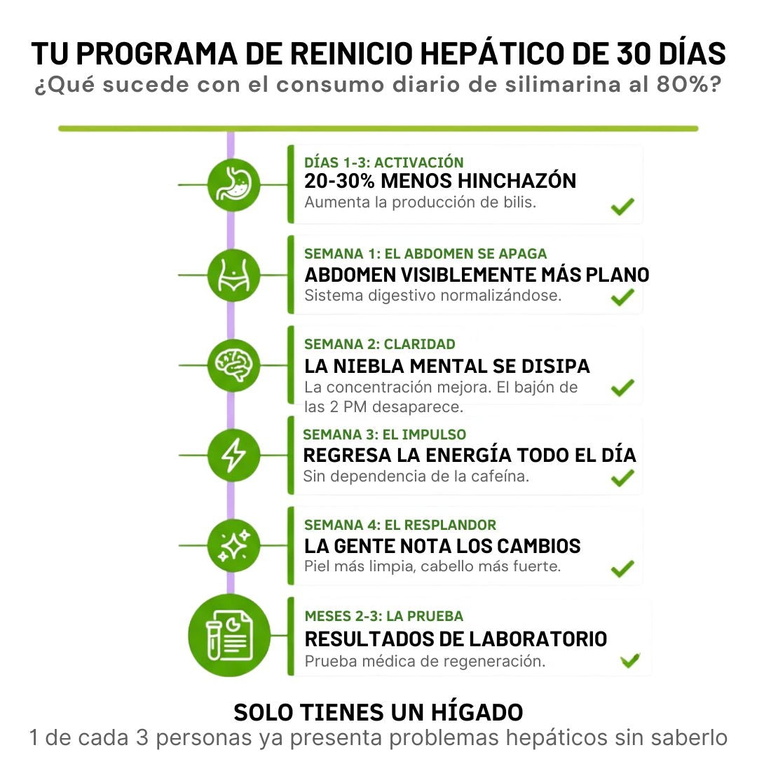 Detox hepático Desinflama tu cuerpo y recupera tu energía en 14 días x90 Cap
