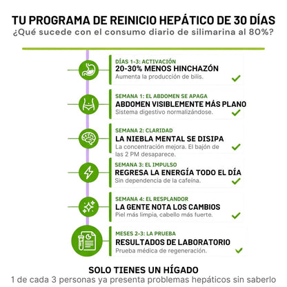 Detox hepático Desinflama tu cuerpo y recupera tu energía en 14 días x90 Cap