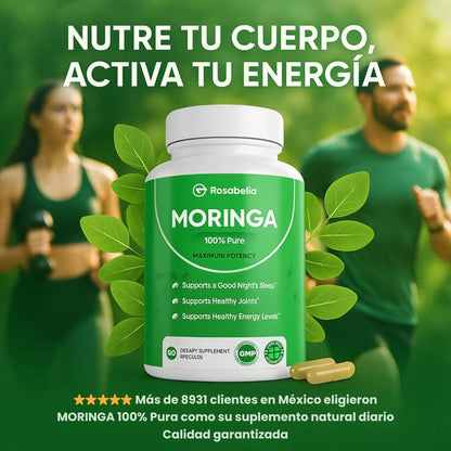 Moringa Nutrición Natural y Bienestar Diario en Cada Porción