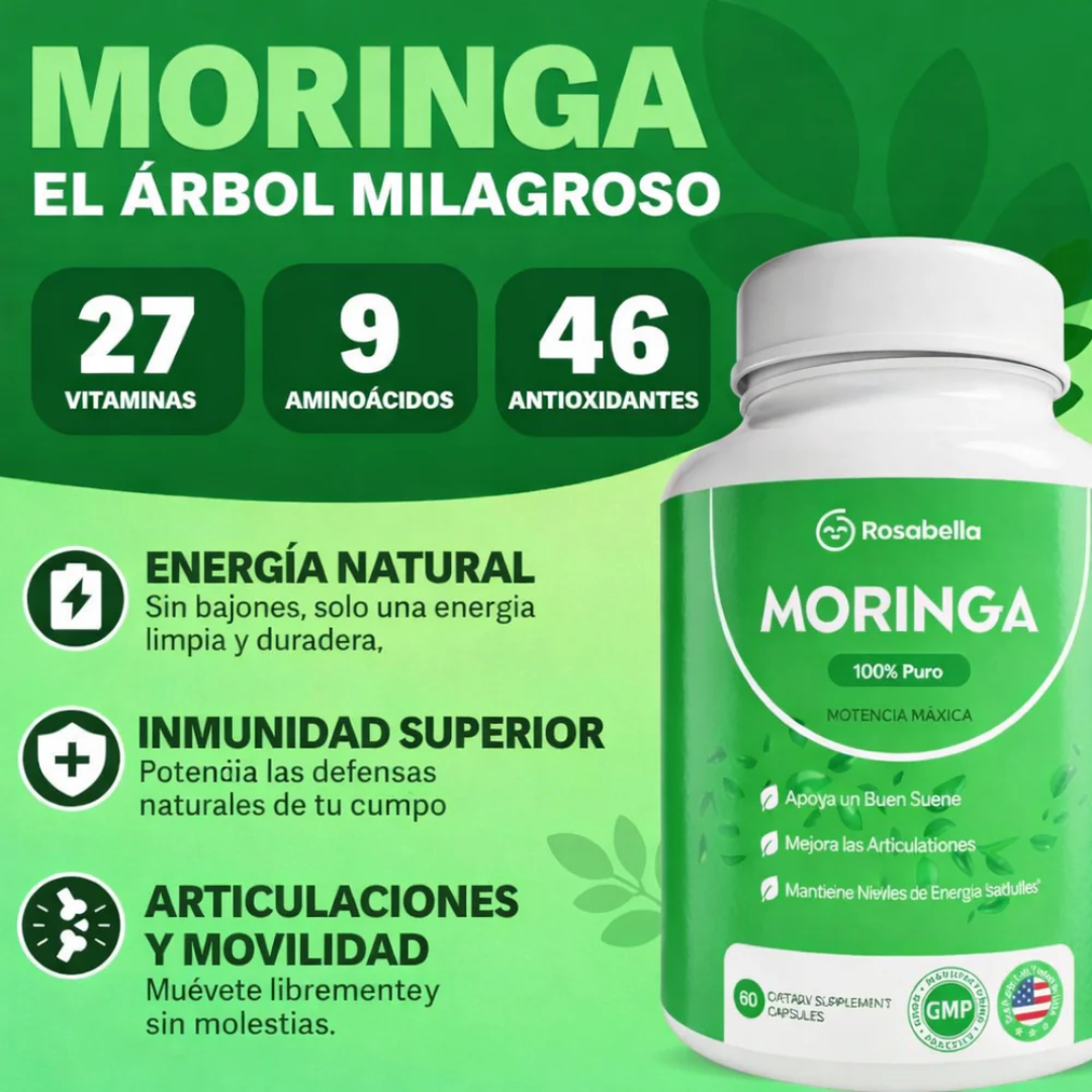 Moringa Nutrición Natural y Bienestar Diario en Cada Porción