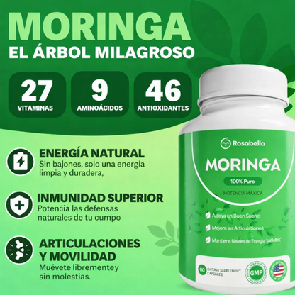Moringa Nutrición Natural y Bienestar Diario en Cada Porción