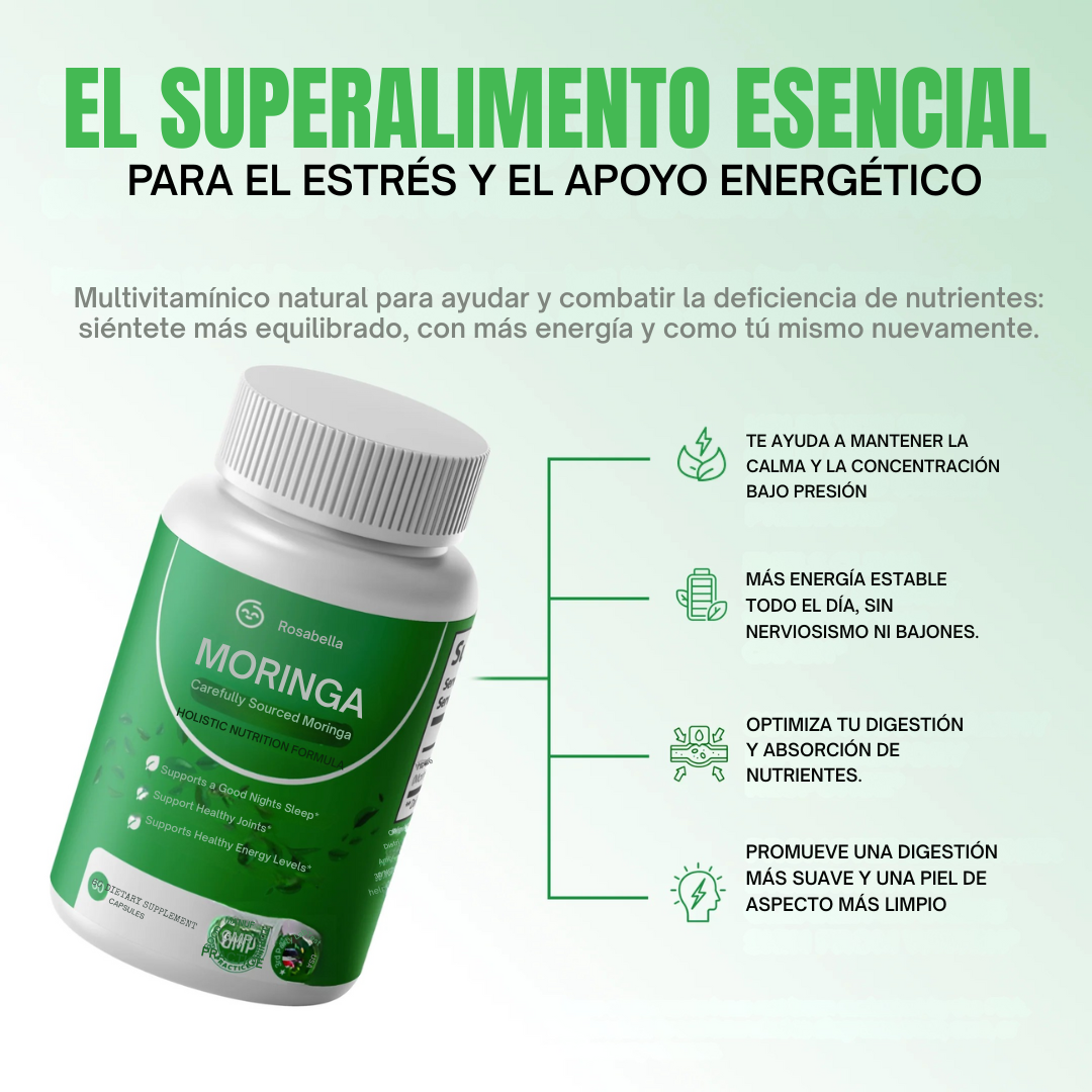 Moringa Nutrición Natural y Bienestar Diario en Cada Porción
