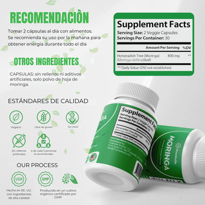 Moringa Nutrición Natural y Bienestar Diario en Cada Porción